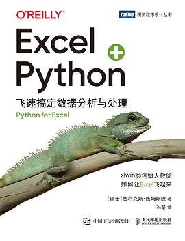 Excel + Python : 飞速搞定数据分析与处理
